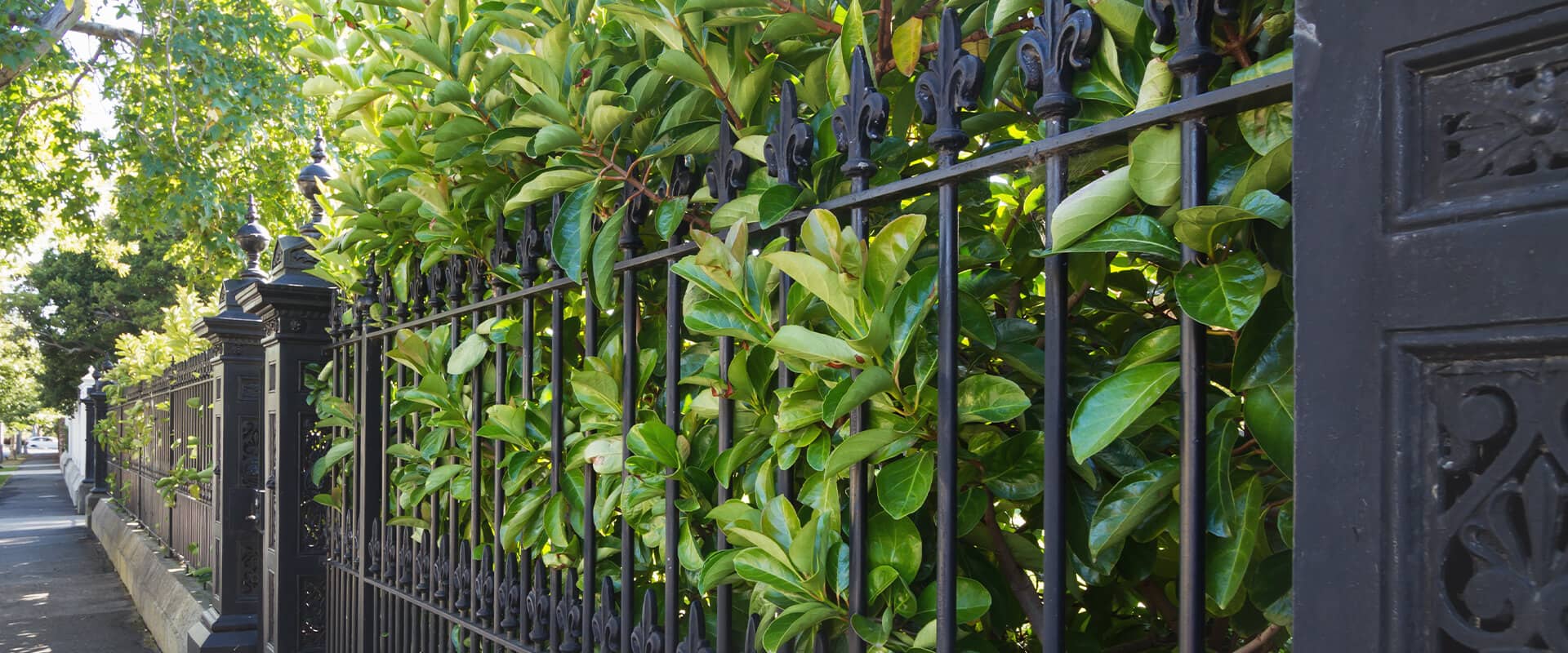 Banner Quiz Background